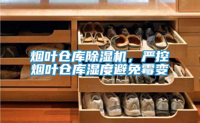 煙葉倉庫91看片软件大全，嚴控煙葉倉庫濕度避免黴變