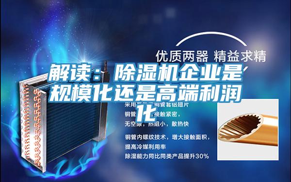 解讀：91看片软件大全企業是規模化還是高端利潤化