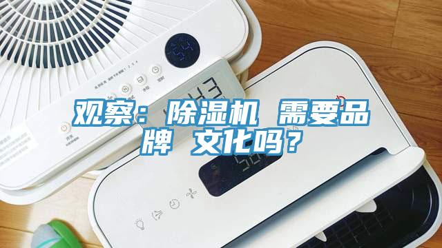 觀察：91看片软件大全 需要品牌 文化嗎？
