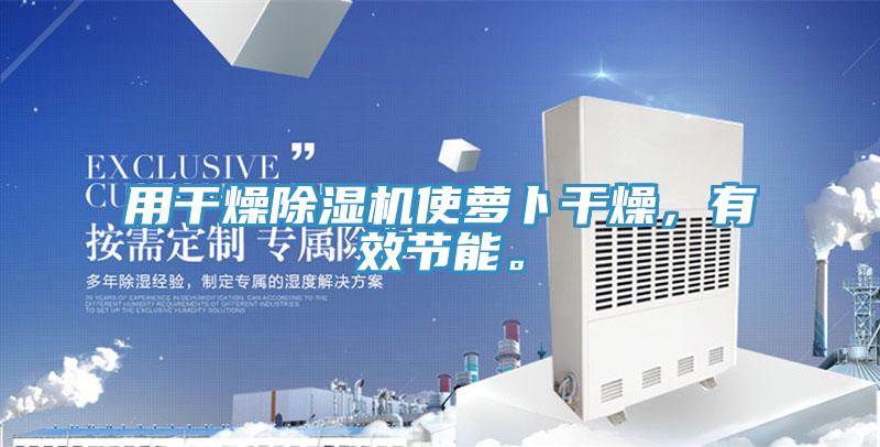 用幹燥91看片软件大全使蘿卜幹燥，有效節能。