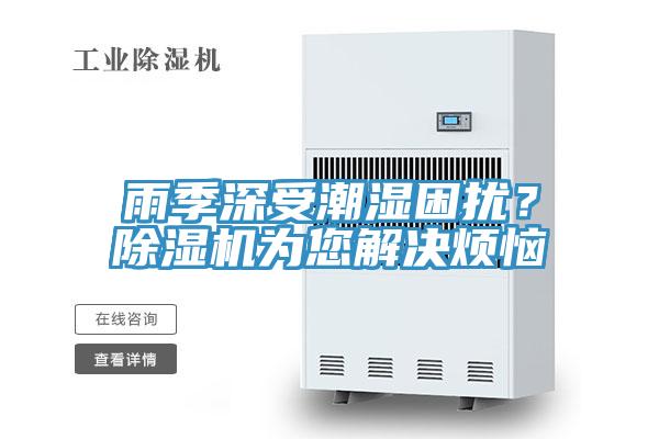 雨季深受潮濕困擾？91看片软件大全為您解決煩惱