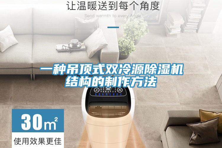一種吊頂式雙冷源91看片软件大全結構的製作方法