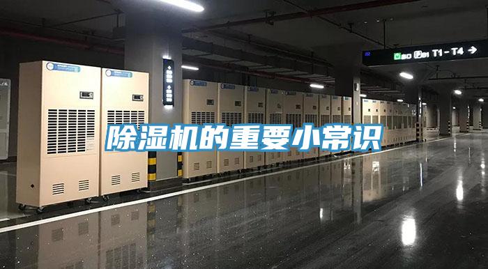 91看片软件大全的重要小常識
