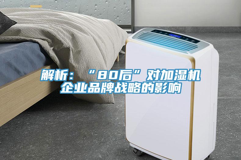 解析：“80後”對加濕機企業品牌戰略的影響
