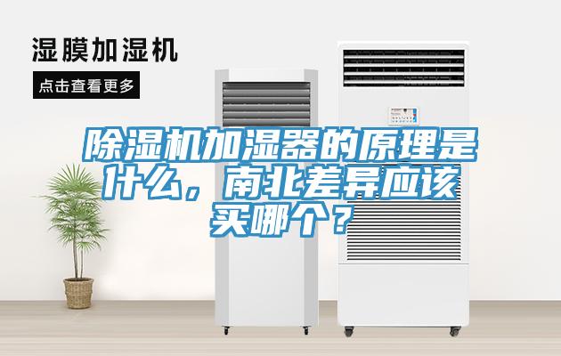 91看片软件大全加濕器的原理是什麽，南北差異應該買哪個？