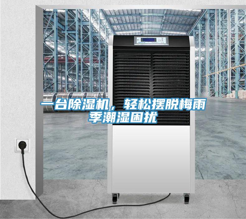一台91看片软件大全，輕鬆擺脫梅雨季潮濕困擾