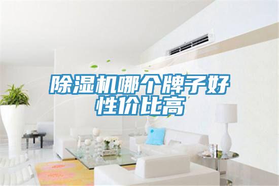 91看片软件大全哪個牌子好性價比高