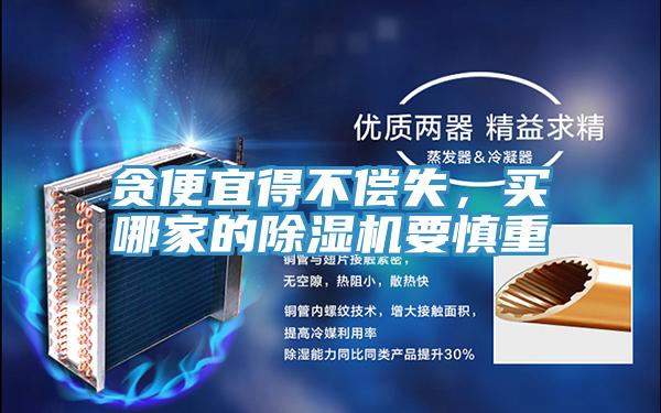 貪便宜得不償失，買哪家的91看片软件大全要慎重
