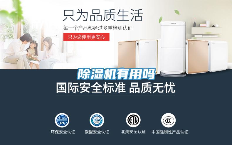 91看片软件大全有用嗎