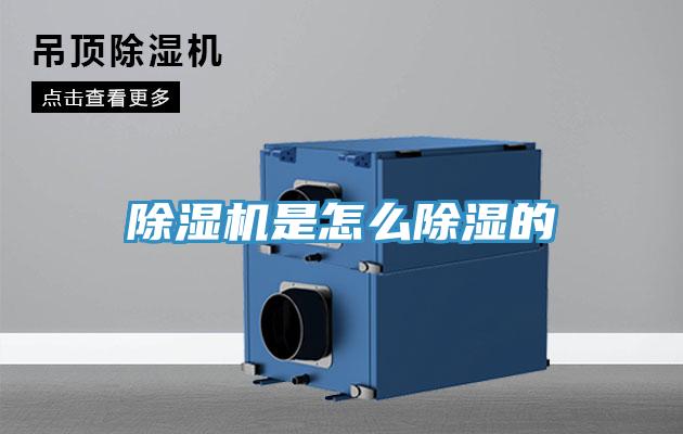 91看片软件大全是怎麽除濕的
