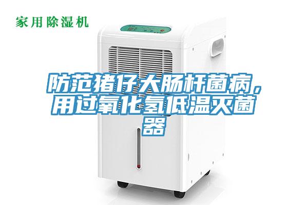 防範豬仔大腸杆菌病，用過氧化氫低溫滅菌器