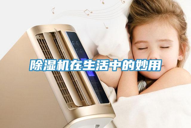 91看片软件大全在生活中的妙用