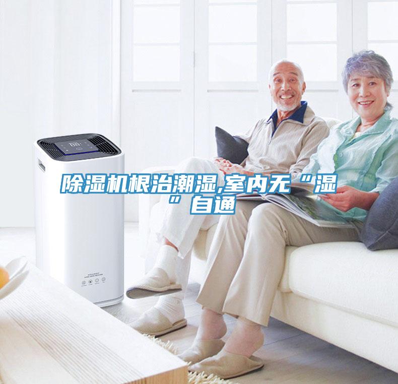 91看片软件大全根治潮濕,室內無“濕”自通