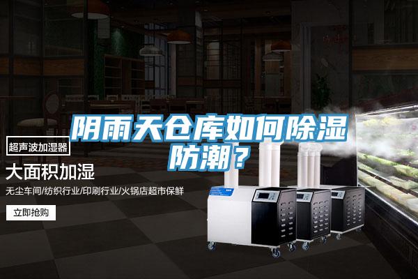 陰雨天倉庫如何除濕防潮？