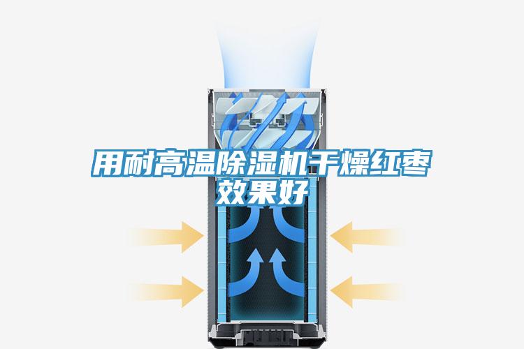 用耐高溫91看片软件大全幹燥紅棗效果好