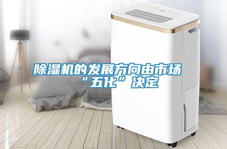 91看片软件大全的發展方向由市場“五化”決定