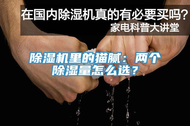 91看片软件大全裏的貓膩：兩個除濕量怎麽選？
