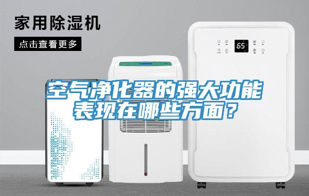 空氣淨化器的強大功能表現在哪些方麵？