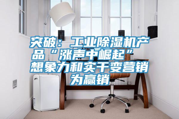 突破：工業91看片软件大全產品“漲聲中崛起” 想象力和實幹變營銷為贏銷