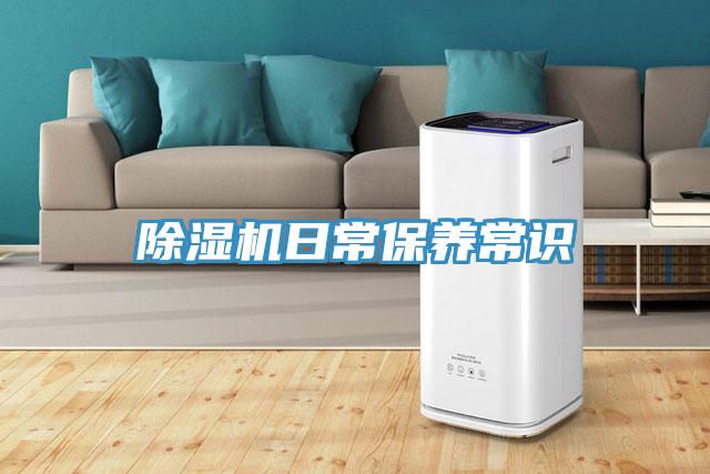 91看片软件大全日常保養常識