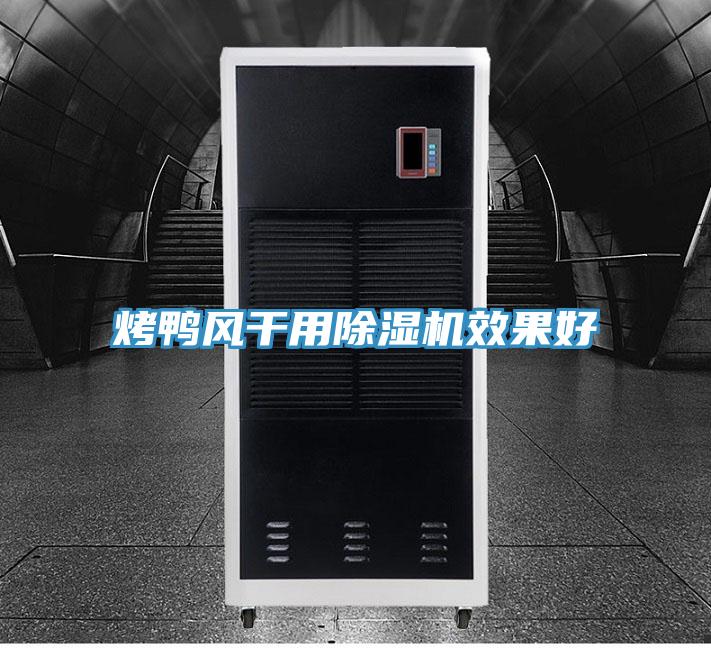 烤鴨風幹用91看片软件大全效果好