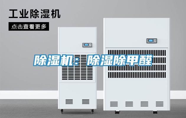 91看片软件大全：除濕除甲醛