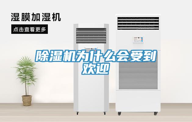 91看片软件大全為什麽會受到歡迎