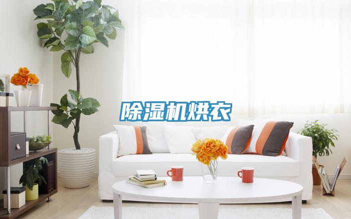91看片软件大全烘衣