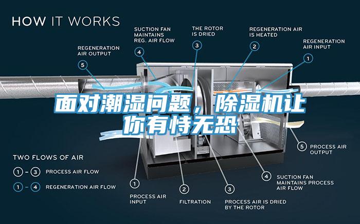 麵對潮濕問題，91看片软件大全讓你有恃無恐