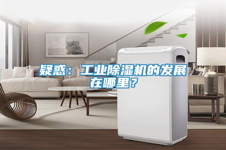 疑惑：工業91看片软件大全的發展在哪裏？