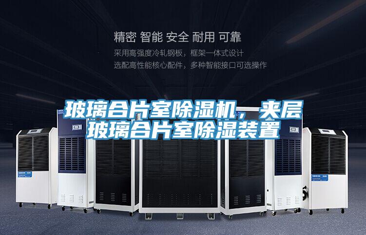 玻璃合片室91看片软件大全，夾層玻璃合片室除濕裝置