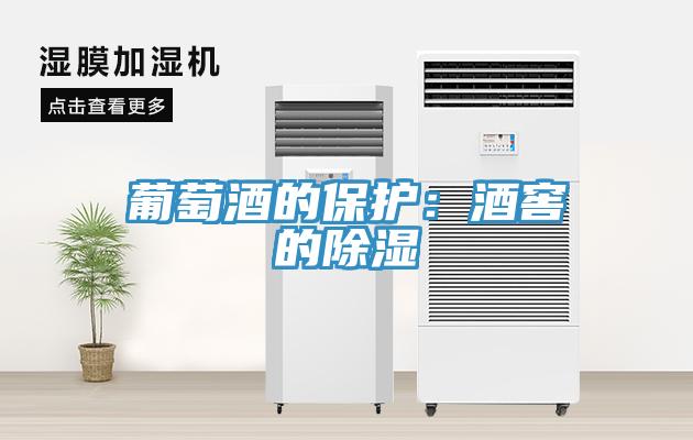葡萄酒的保護：酒窖的除濕