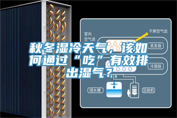 秋冬濕冷天氣，該如何通過“吃”有效排出濕氣？