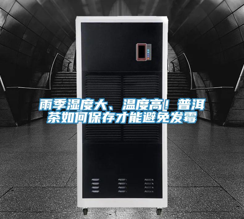 雨季濕度大、溫度高！普洱茶如何保存才能避免發黴
