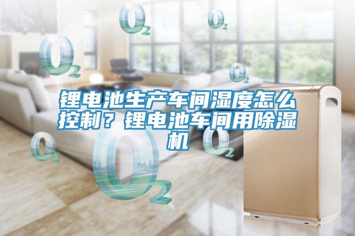 鋰電池生產車間濕度怎麽控製？鋰電池車間用91看片软件大全