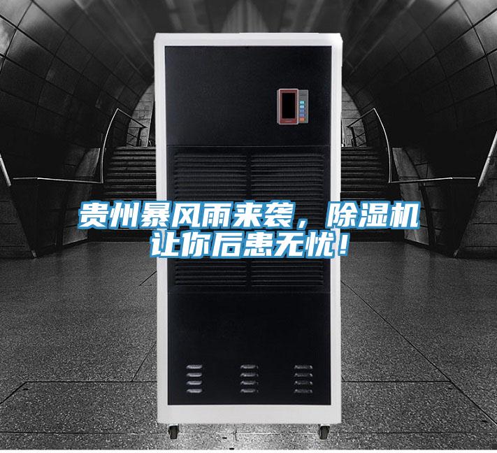 貴州暴風雨來襲，91看片软件大全讓你後患無憂！