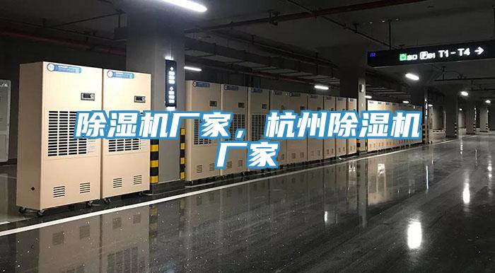 91看片软件大全廠家，杭州91看片软件大全廠家