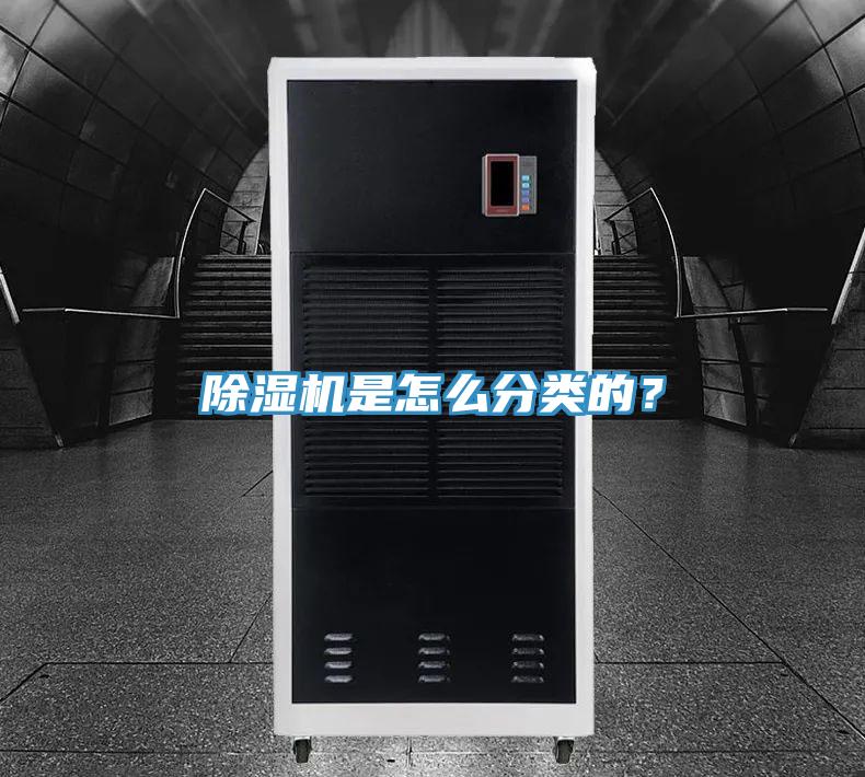 91看片软件大全是怎麽分類的？