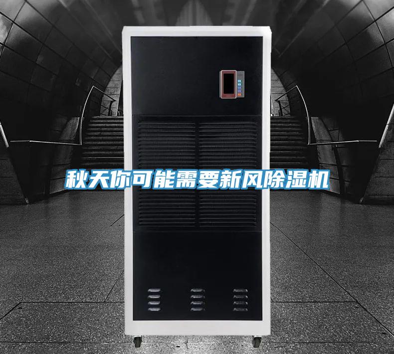 秋天你可能需要新風91看片软件大全