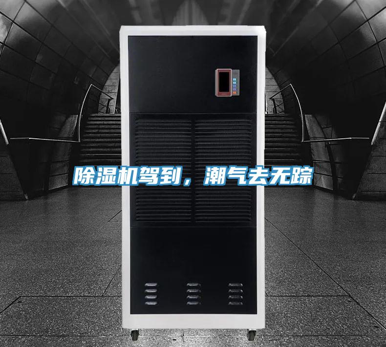 91看片软件大全駕到，潮氣去無蹤