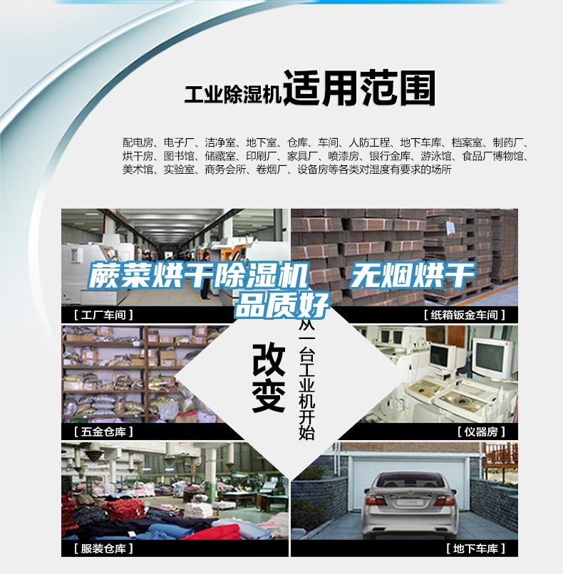 蕨菜烘幹91看片软件大全  無煙烘幹品質好