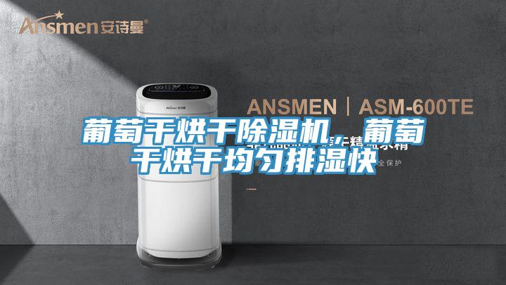 葡萄幹烘幹91看片软件大全，葡萄幹烘幹均勻排濕快
