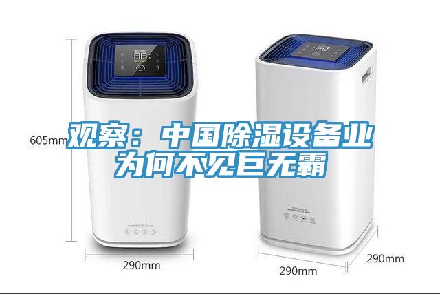 觀察：中國除濕設備業為何不見巨無霸