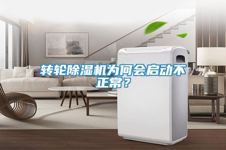 轉輪91看片软件大全為何會啟動不正常？