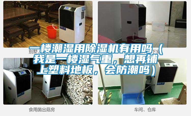 一樓潮濕用91看片软件大全有用嗎（我是一樓濕氣重，想再鋪上塑料地板，會防潮嗎）
