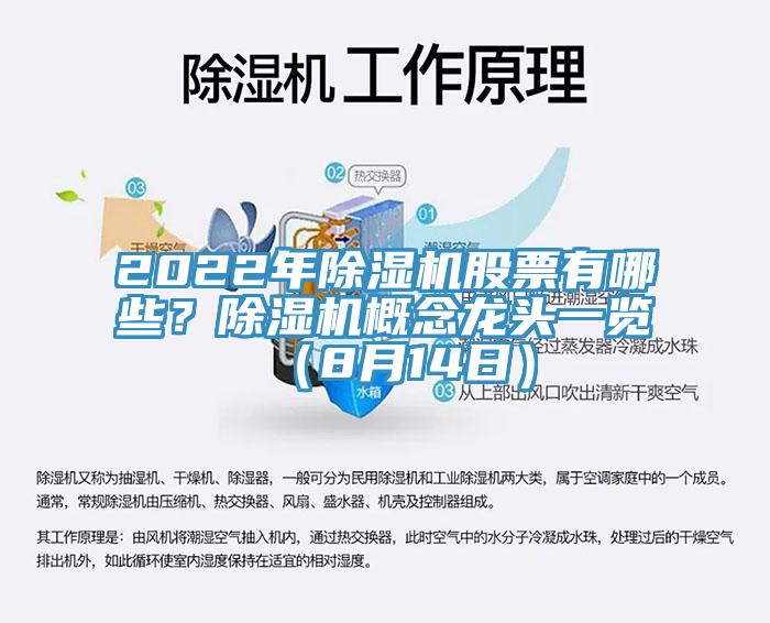 2022年91看片软件大全股票有哪些？91看片软件大全概念龍頭一覽（8月14日）