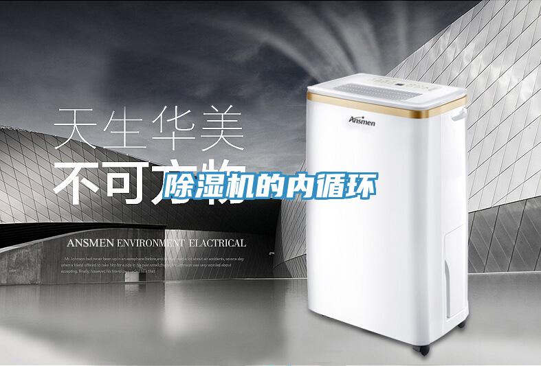91看片软件大全的內循環