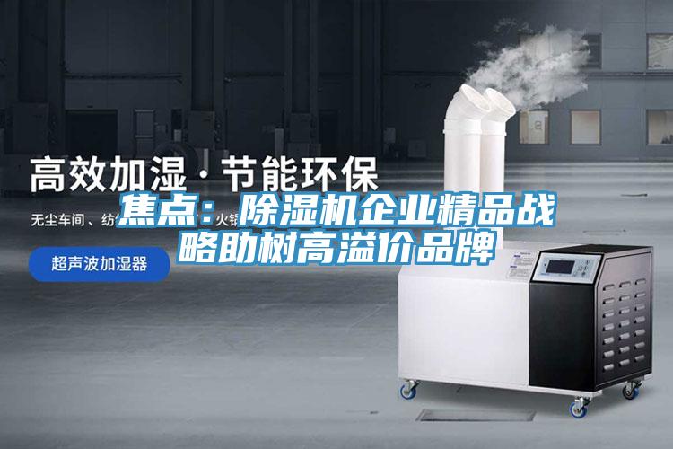 焦點：91看片软件大全企業精品戰略助樹高溢價品牌