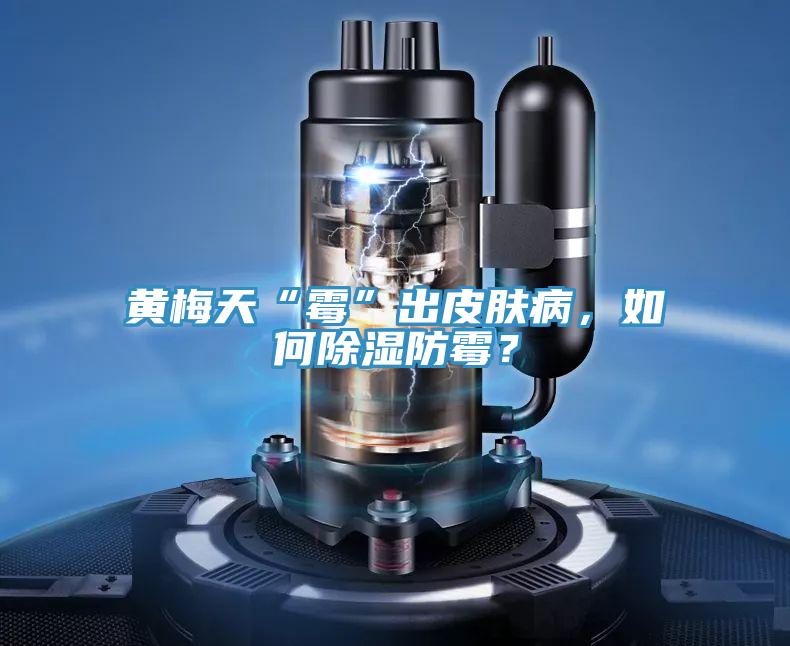 黃梅天“黴”出皮膚病，如何除濕防黴？