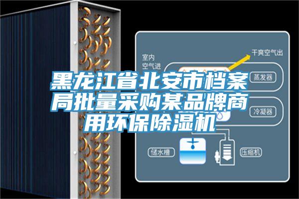 黑龍江省北安市檔案局批量采購某品牌商用環保91看片软件大全
